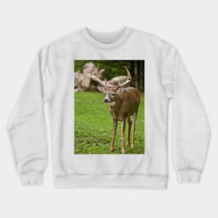 White-tailed Deer Crewneck Sweatshirt